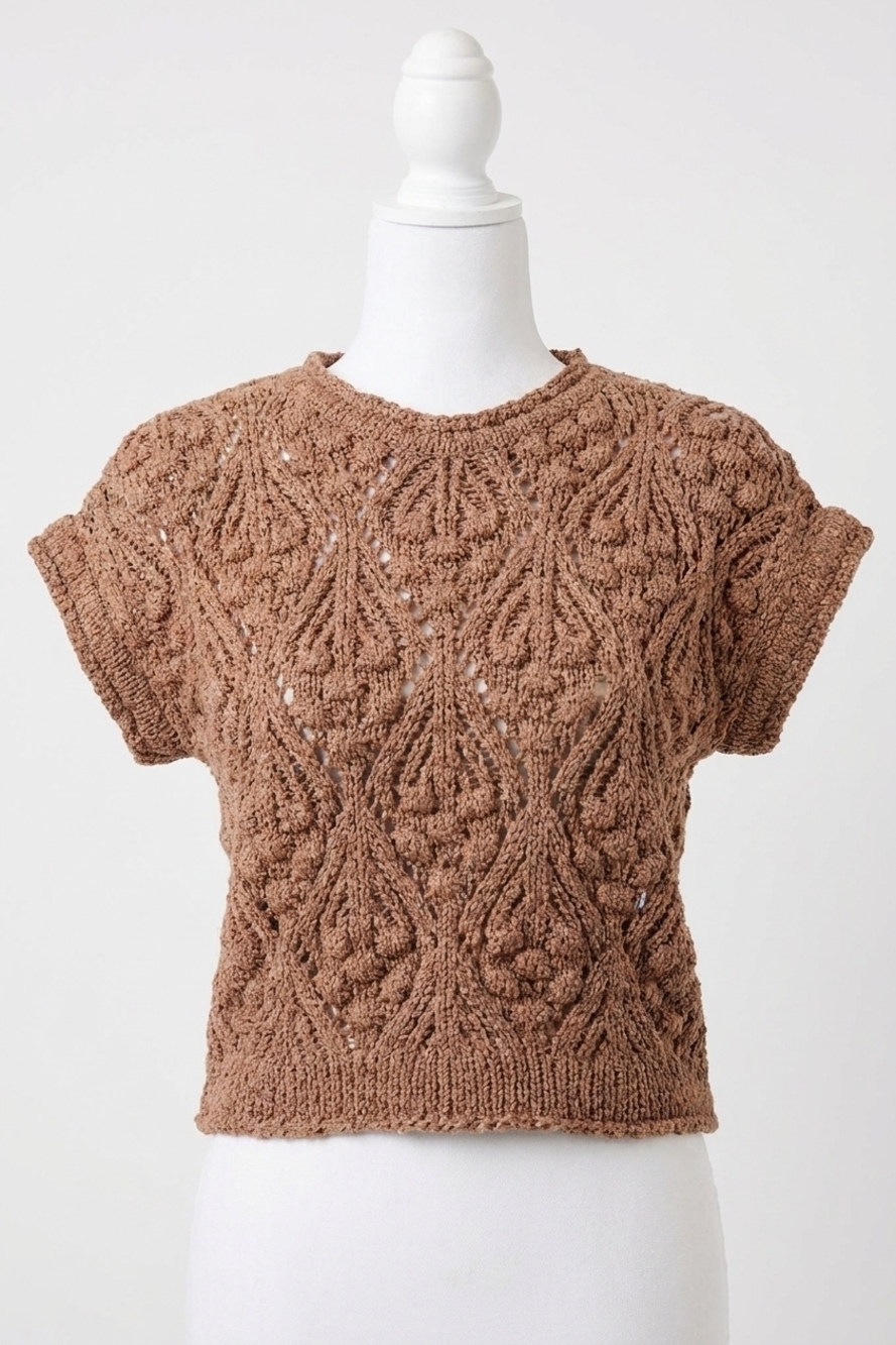 NEW BLUIVY short sleeve cropped knit sweater in mocha